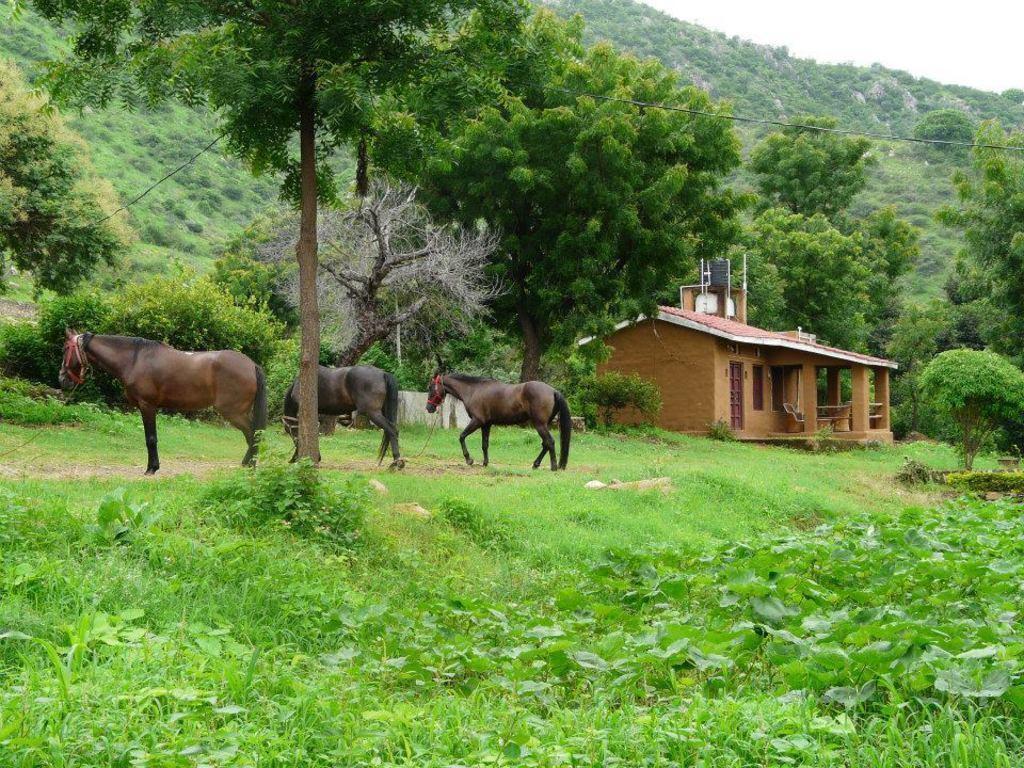 Krishna Ranch Villa Udaipur Exterior photo